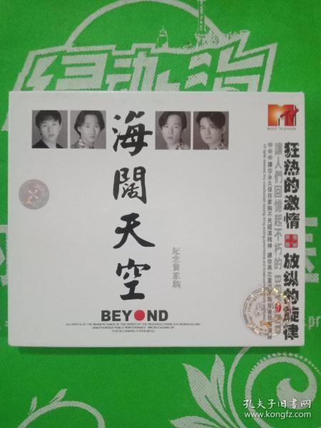 海阔天空BEYND(2VCD)