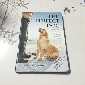 theperfectdog 英文版