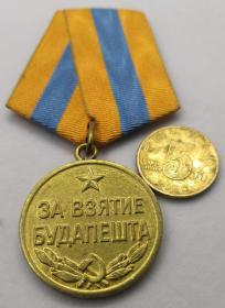二战原品保真苏联攻克布达佩斯奖章