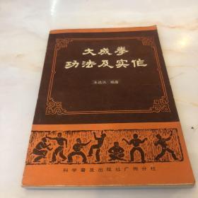 大成拳功法及实作