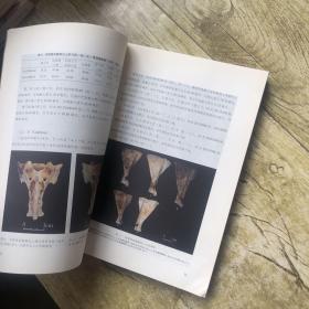 藏学学刊（第12辑）