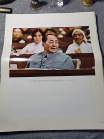 毛泽东照片 共58张 正反面 共116张毛主席彩照