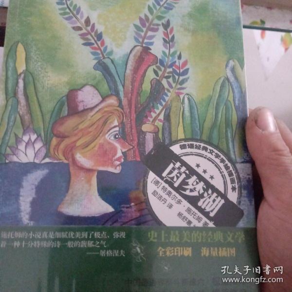 茵梦湖：德语经典文学手绘插图本