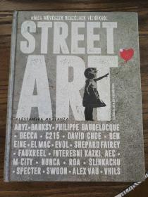 Street Art: Famous Artists Talk About Their Vision (匈牙利文)