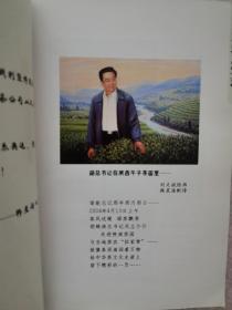 陕西午子绿茶文化