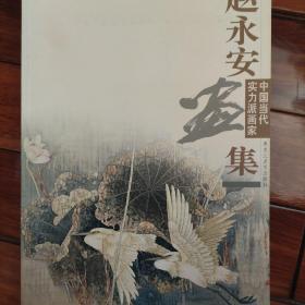 赵永安画集