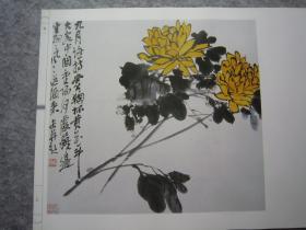 吴昌硕画集《荣宝斋画谱:古代部分七--清--吴昌硕绘(二)花卉》八开版本