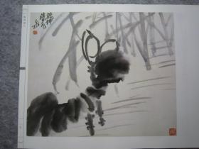 吴昌硕画集《荣宝斋画谱:古代部分七--清--吴昌硕绘(二)花卉》八开版本