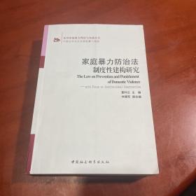 反对家庭暴力理论与实践丛书：家庭暴力防治法制度性建构研究