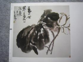 吴昌硕画集《荣宝斋画谱:古代部分七--清--吴昌硕绘(二)花卉》八开版本