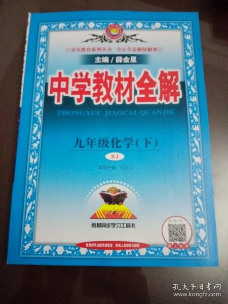 中学教材全解 九年级化学下 人教版 2017春