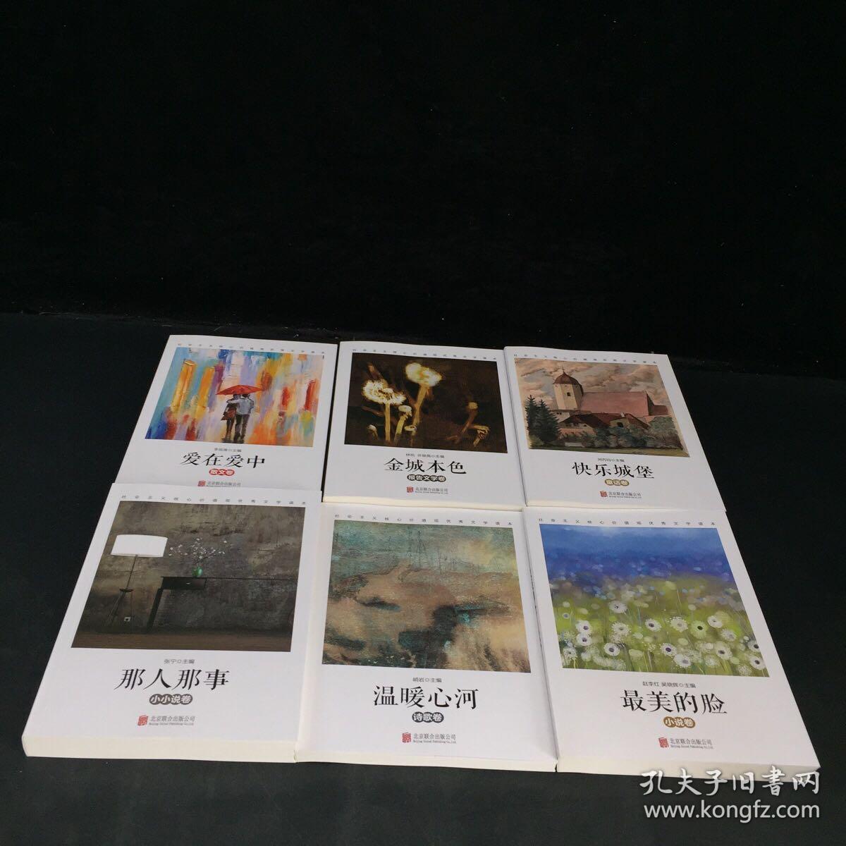 社会主义核心价值观优秀文学读本：爱在爱中（散文卷），金城本色（报告文学卷），快乐城堡（童话卷），那人那事（小小说卷），温暖心河（诗歌卷），最美的脸（小说卷）（全六卷）（带函套）..