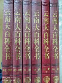 云南大百科全书（历史，经济，科学.教育共6卷）