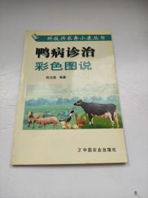 鸭病诊治彩色图说 2005年5月出版    郭玉璞    图文并茂，着重介绍了农村养鸭中经常发生的26种鸭病的诊断与防治技术。全书共80张实物图片，显示出鸭的解剖部位、各种疾病的临床症状及剖检特点，并辅以简洁、通俗的文字，说明其病的诊断和治疗方法，《鸭病诊治彩色图说》图文表达清晰、直观、实用，是养鸭户和农村兽医必备的工具书。书中还以专题形式介绍了养好雏鸭的技术要点，以便读者全面地掌握鸭病的防治技术