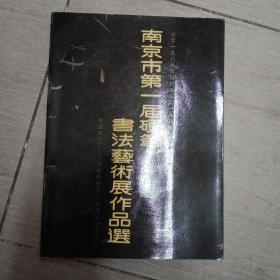 南京市第一届硬笔书法艺术展作品选
