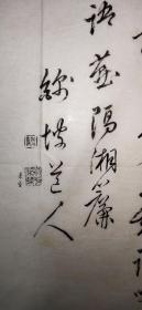 回流老字画手绘名家画稿竹笋图软片D4462