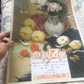 色彩风暴 迟明星讲临摹