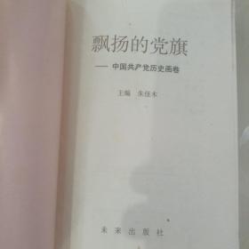 飘扬的党旗:中国共产党历史画卷
