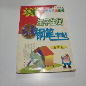 多功能生字生词钢笔字帖5年级