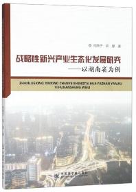 战略性新兴产业生态化发展研究:以湖南省为例