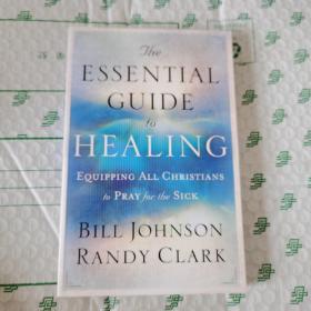 THE ESSENTIAL GUIDE TO HEALING