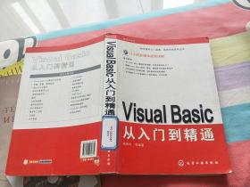 Visual Basic从入门到精通