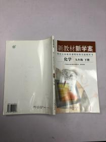 新教材新学案 化学九年级下册