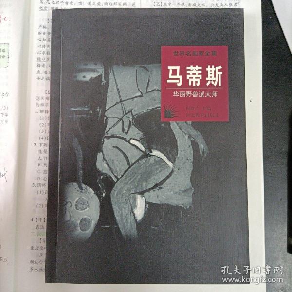 世界名画家全集--马蒂斯