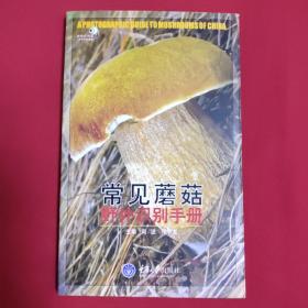 常见蘑菇野外识别手册