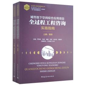 城市地下空间综合应用项目全过程工程咨询实施指南（全2册）