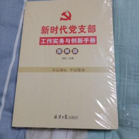 新时代农村党支部工作实务与创新手册（图解版）