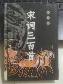 宋词三百首（图文本）9787538505061