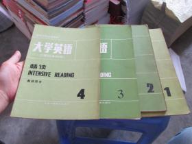 高等学校试用教材 大学英语 文理科本科用  精读1.2.3.4  教师用书   货号10-6  品如图