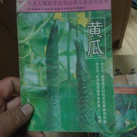 黄瓜