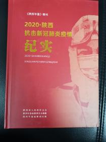 2020陕西抗疫纪实（椅后）