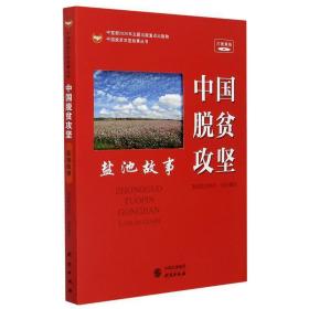 中国脱贫攻坚--盐池故事