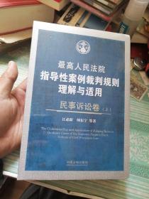 最高人民法院指导性案例裁判规则理解与适用·民事诉讼卷   上下     未开封