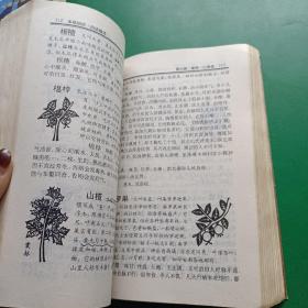 本草纲目     白话全图本