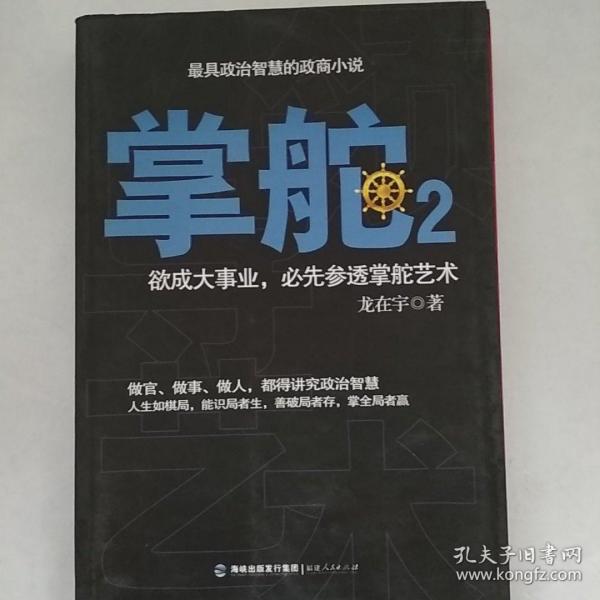 掌舵2：政商圈子生存指南