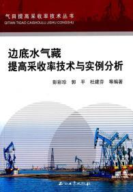 边底水气藏提高采收率技术与实例分析