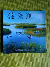 任飞翔——辽宁双台河口国家级自然保护区