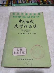 中国古代文学作品(清及近代部分)