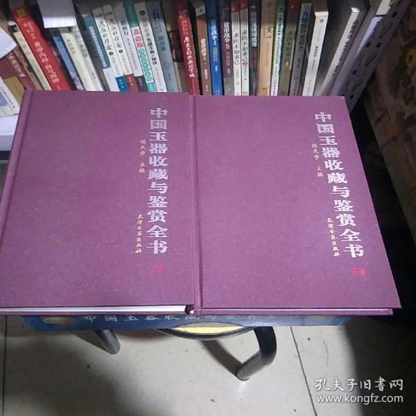 中国玉器收藏与鉴赏全书，全二册上下册