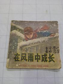 连环画《在风雨中成长》