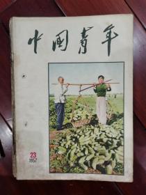 中国青年1957年第23期