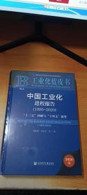 工业化蓝皮书：中国工业化进程报告（1995-2020）