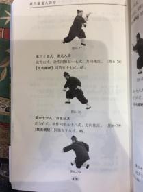 武当游龙八卦掌