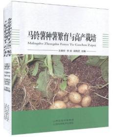 马铃薯种薯繁育与高产栽培