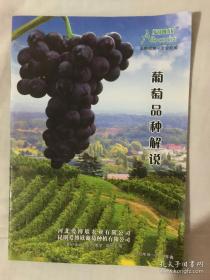葡萄品种解说