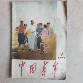 中国青年 1966.4
